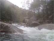 Wilsons Creek 113